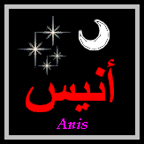 Anis — 
   ​أنيس​
