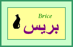 Brice — 
   ​بريس​
