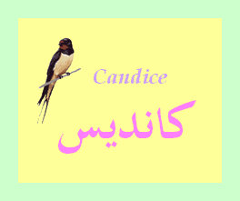 Candice — 
   ​كانديس​
