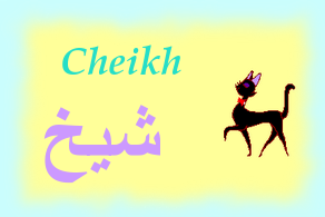 Cheikh —
شيخ