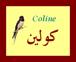 Coline — 
   ​كولين​
