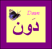 Dawn — 
   ​داون​
