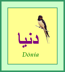 Donia — 
   ​دنيا​
