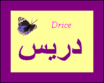 Drice — 
   ​دريس​
