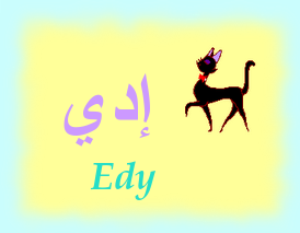 Edy — 
   ​إدي​
