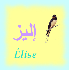 Élise — 
   ​إليز​
