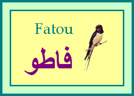Fatou — 
   ​فاطو​
