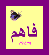 Fehmi — 
   ​فاهم​
