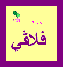 Flavie — 
   ​فلاڤي​
