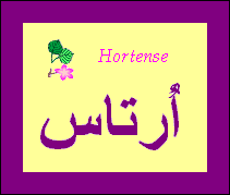 Hortense — 
   ​أُرتاس​
