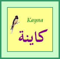Kayna — 
   ​كاينة​
