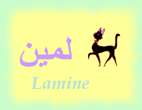 Lamine — 
   ​*​
