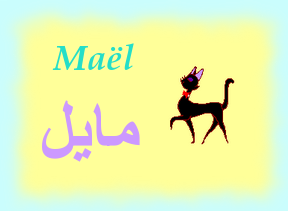 Maël — 
   ​مايل​
