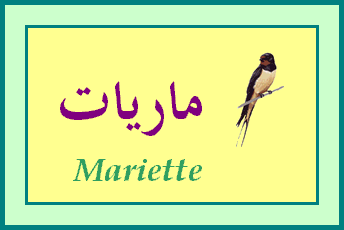 Mariette — 
   ​ماريات​
