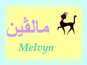 Melvyn — 
   ​مالڤين​
