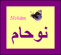 Noham — 
   ​نوحام​
