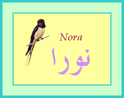 Nora — 
   ​نورا​
