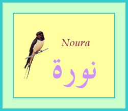 Noura — 
   ​نورة​

