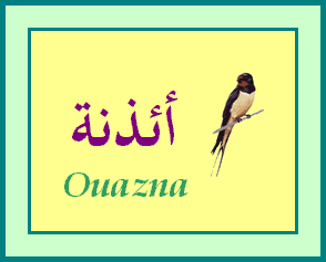 Ouazna — 
   ​أئذنة​
