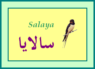 Salaya — 
   ​*​

