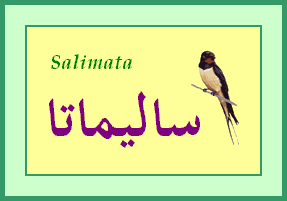 Salimata — 
   ​ساليماتا​
