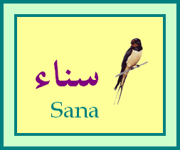 Sana — 
   ​سناء​
