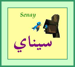 Senay — 
   ​سيناي​
