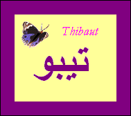 Thibaut — 
   ​تيبو​
