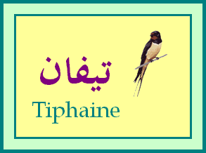 Tiphaine — 
   ​تيفان​
