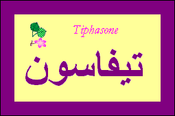 Tiphasone —
                
   ​تيفاسون​

            