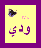 Wadi — 
   ​ودي​
