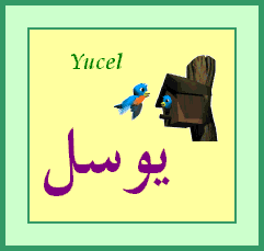 Yucel — 
   ​يوسل​
