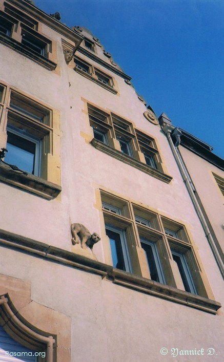 Chat
                de pierre perché sur un mur — Le long du Boulevard Paixhans
                — Metz
            