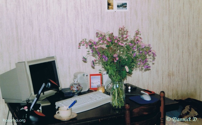 Bouquet
                de fleurs sauvages sur un bureau informatique — dans une maison
                rurale des Vosges
            