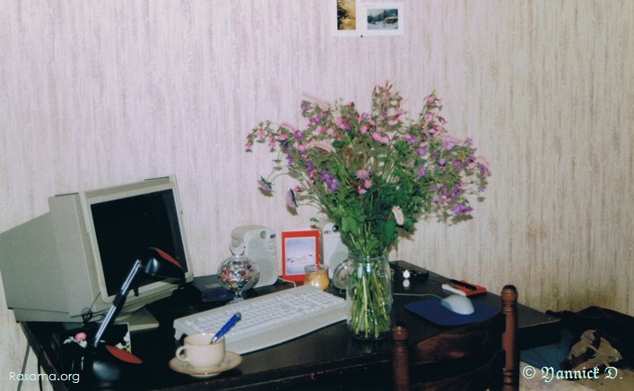Bouquet
de fleurs sauvages sur un bureau informatique — dans une maison
rurale des Vosges