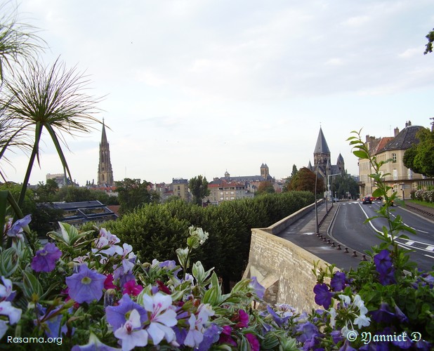 Style carte
                postale d’une vue sur le Saulcy — Proximité Place République
                — Metz
            