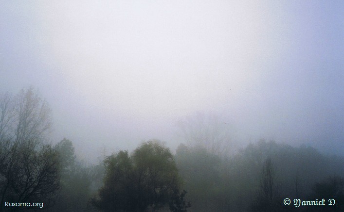 L’esprit
                de la forêt ne vous laissera jamais seul(e) — Forêt Vosgienne
                — Hauteurs de Granges
            