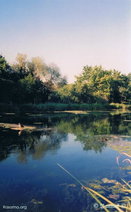 Étang — environ de
                Metz ( la nature au nord de Metz )
            