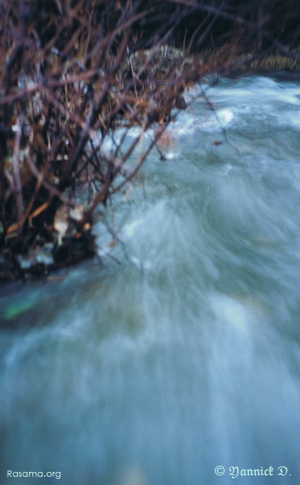 L’eau
                file vite, ce petit ruisseau joue au torrent — Un bras de la
                Vologne dans les Vosges
            