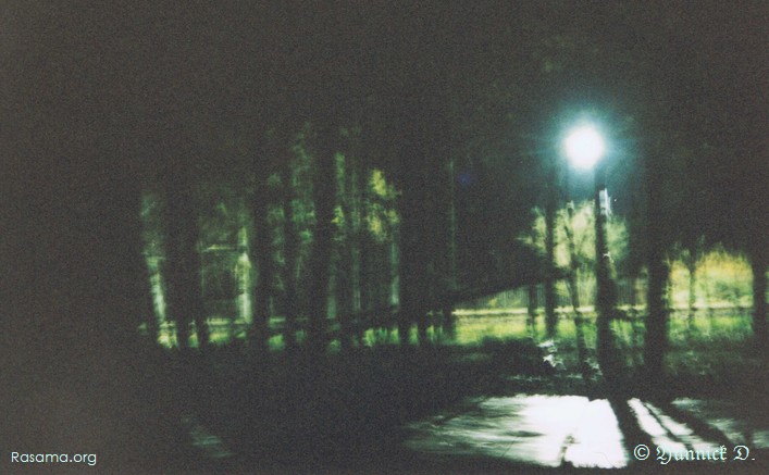 Un
                air de polar ce soir là dans ce coin de forêt — Granges dans
                les Vosges
            