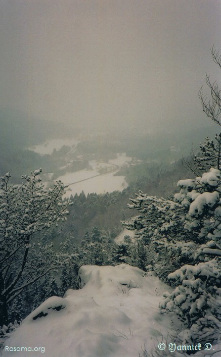 Vosges
                — un point de vue sur Granges depuis le haut des Évelines
            