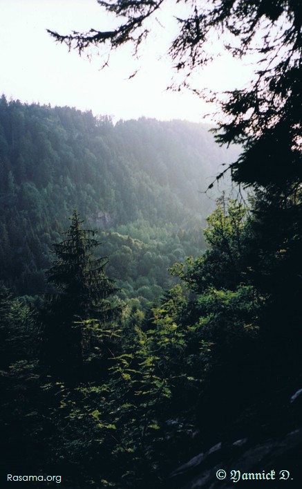 À
                proximité de Giropaire — Hauteur des Évelines — Granges dans
                les Vosges
            