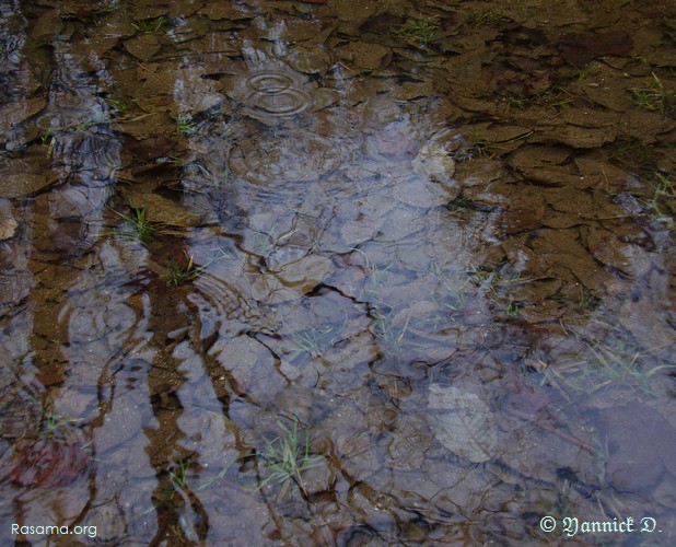 Grande
                flac d’eau dans les Vosges
            